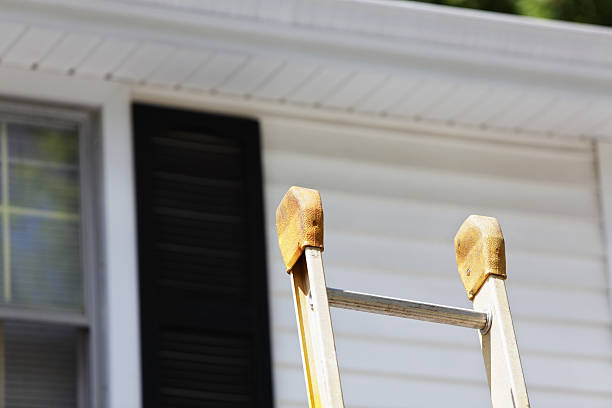 Best Siding for Commercial Buildings  in Los Ranchos, CA